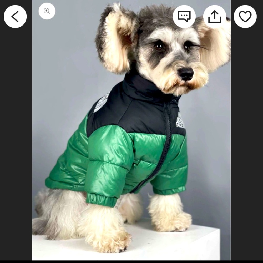 DogFace winter Down Jacket